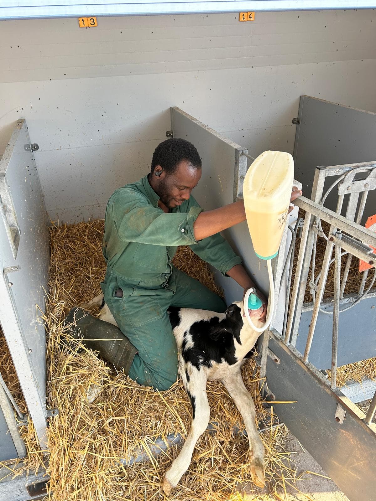 Breeding programme consultation