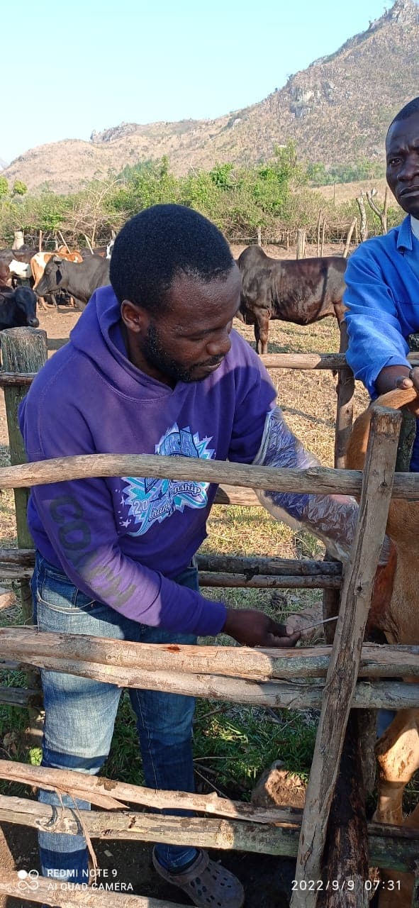 Public health awareness event