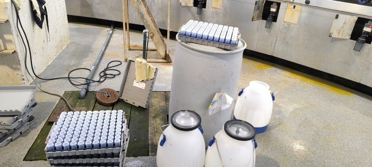 Veterinary consultation for livestock