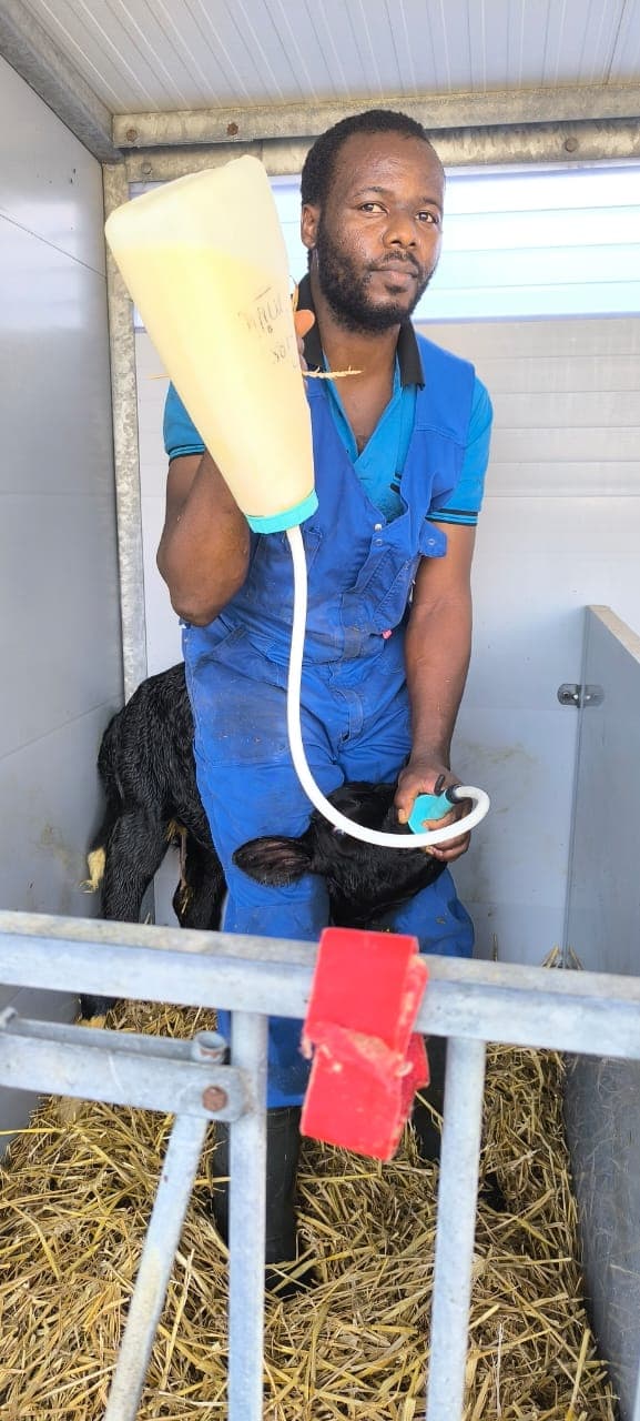 Capacity building training workshop