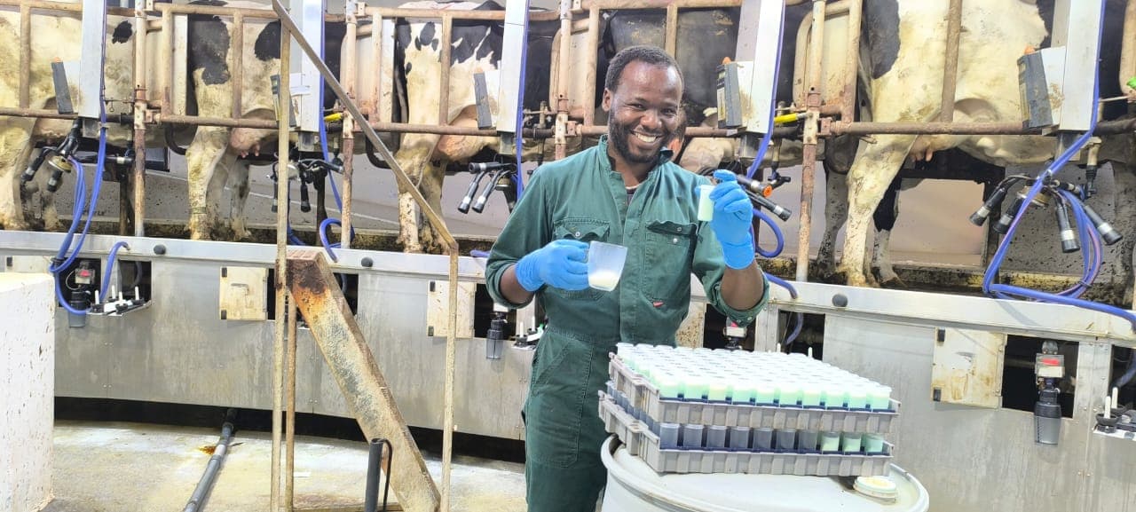 Animal health checkup in the field